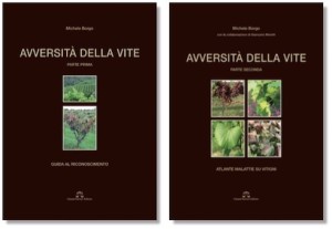 avversita-della-vite-libro-michele-borgo-20160606